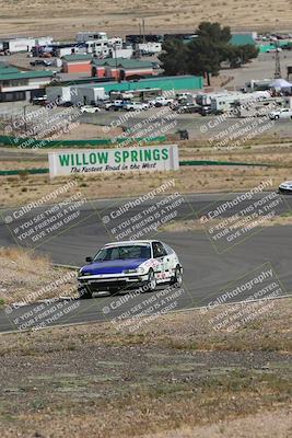 media/May-03-2025-Lucky Dog Racing (Sat) [[206de64b9d]]/Turn 4 A (3pm-4pm)/